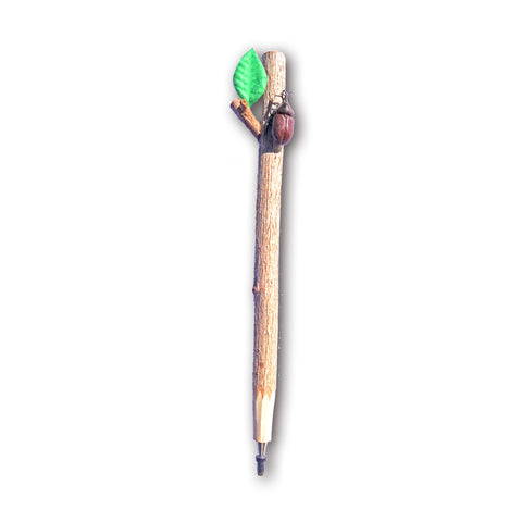 Twig Pen with Brown Beetle Attached!