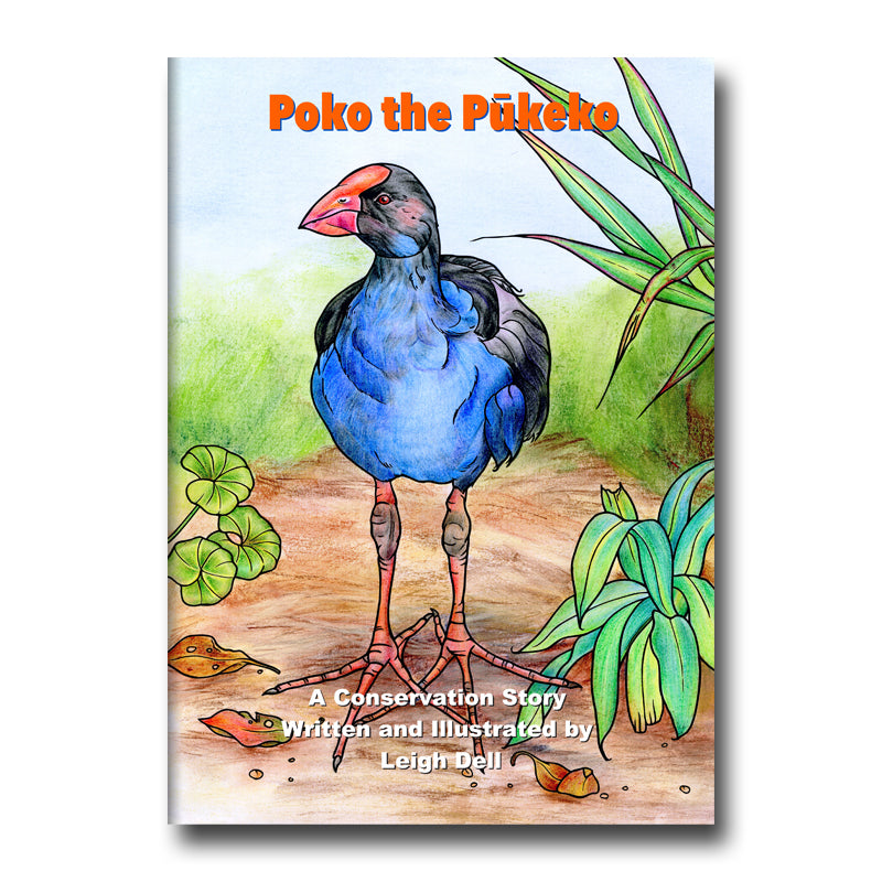 Poko the Pukeko