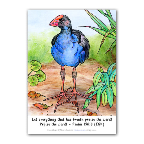 Poko the Pukeko Poster