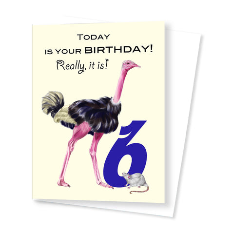 6th Year Birthday Card